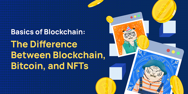 Basics of Blockchain: The Difference Between Blockchain, Bitcoin, and NFTs
