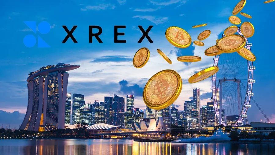 交易所、穩定幣怎麼管？光研究就花了兩年半，揭秘XREX新加坡牌照幕後
